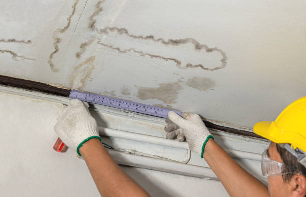Reliable Sewage Cleanup contractor in Wilder, TN by Hirex Water Damage